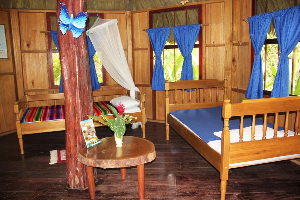 Sun Creek Lodge プンタ・ゴーダ 部屋 写真
