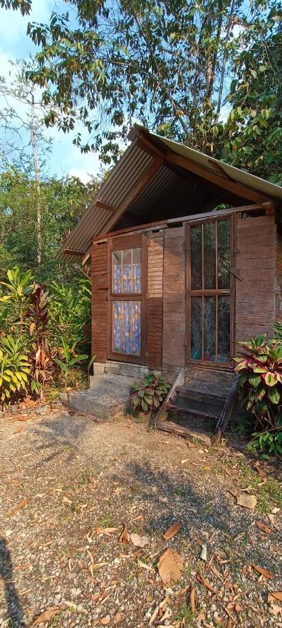 Sun Creek Lodge プンタ・ゴーダ エクステリア 写真