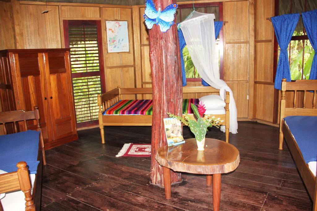 Sun Creek Lodge プンタ・ゴーダ 部屋 写真