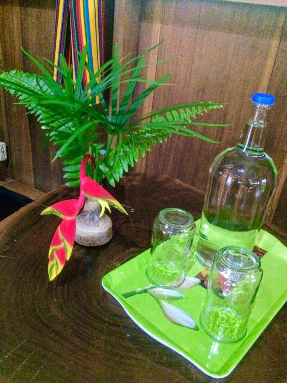Sun Creek Lodge プンタ・ゴーダ エクステリア 写真